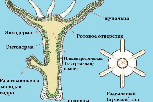 Мега зеркала тор онион мориарти кракен