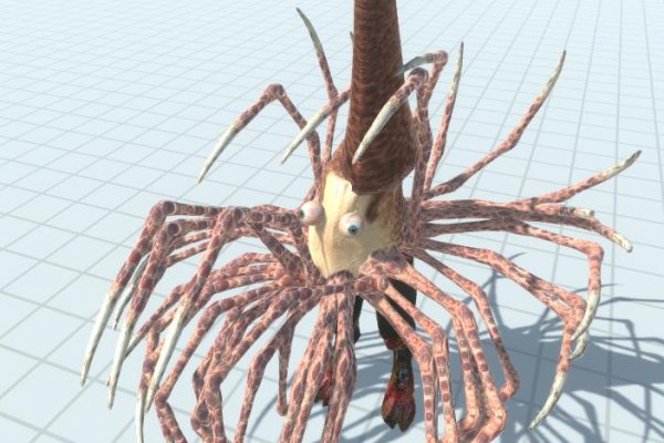 Kraken 14 at