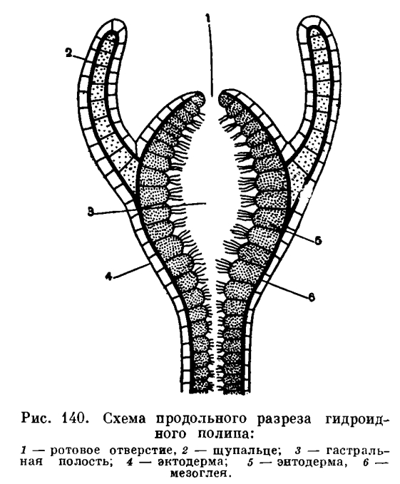 Кракен через браузер