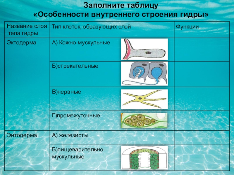 Как зарегистрироваться на кракене маркетплейс